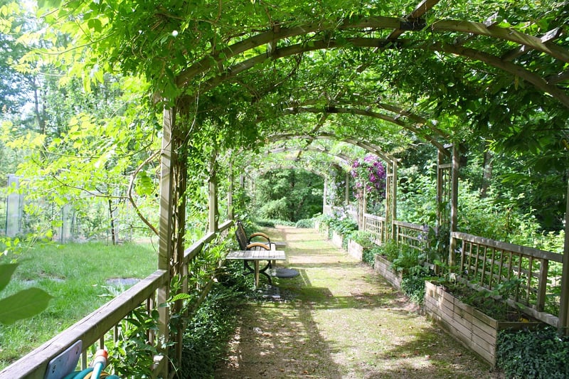 Enchanted Arbors