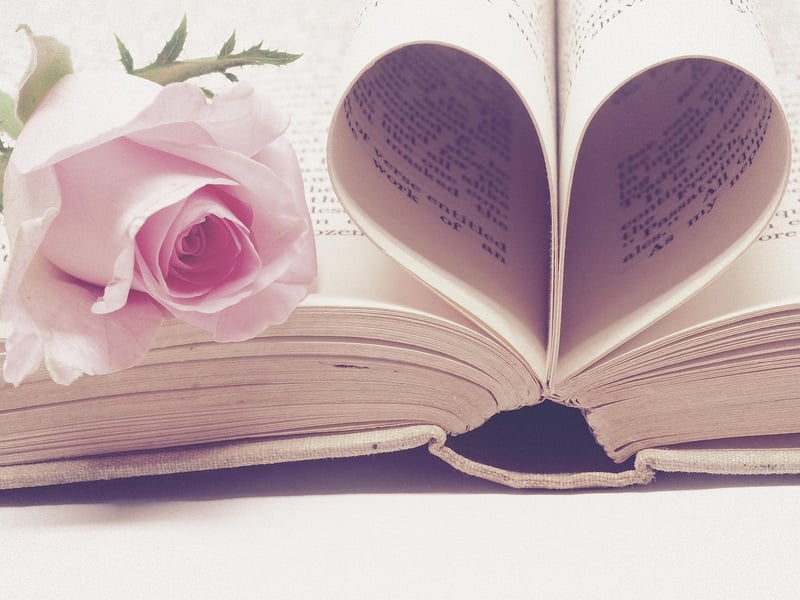 Rose Flower